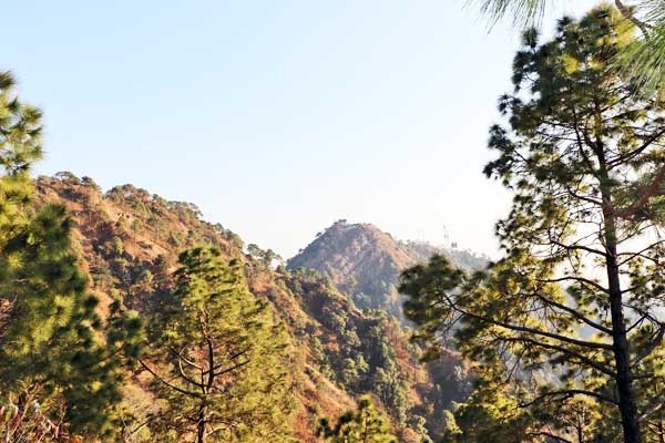 Amazing Things to Do and See in Kasauli