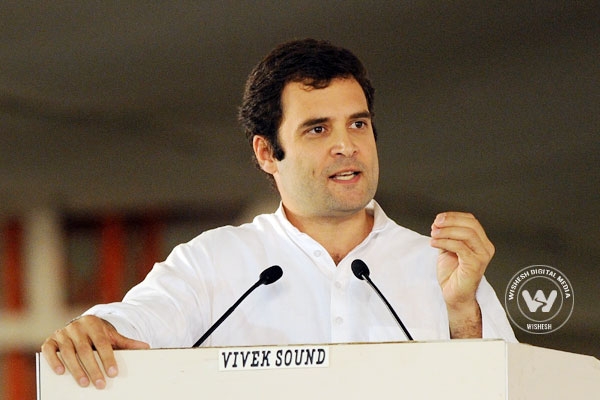 Rahul Gandhi- I have always fought for the poor