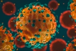 Coronavirus India, Coronavirus cases, 37 875 new coronavirus cases reported in india, New coronavirus