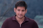 Rakul Preet Singh, Mahesh Babu latest, mahesh s next teaser work in uk, Sambhavami
