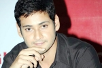 Mahesh Babu updates, Mahesh Babu new movie, mahesh out of summer race, Sambhavami