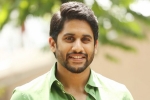 Naga Chaitanya next movie, Merlapaka Gandhi, naga chaitanya signs his next, Yuddham Naga Chaitanya next movie, Merlapaka Gandhi, naga chaitanya signs his next, Yuddham