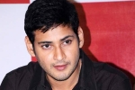 Mahesh Babu new movie, Rakul Preet Singh, no clarity on mahesh s next title, Sambhavami