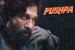 Allu Arjun new movie, Allu Arjun Pushpa movie, pushpa to be released in two installments, Puspha