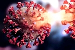 Covid-19 in China latest updates, new coronavirus variant in China, new and highly infectious covid 19 variant emerges in china, New coronavirus
