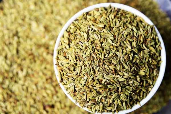 What Happens when you drink Saunf Water Every Night?